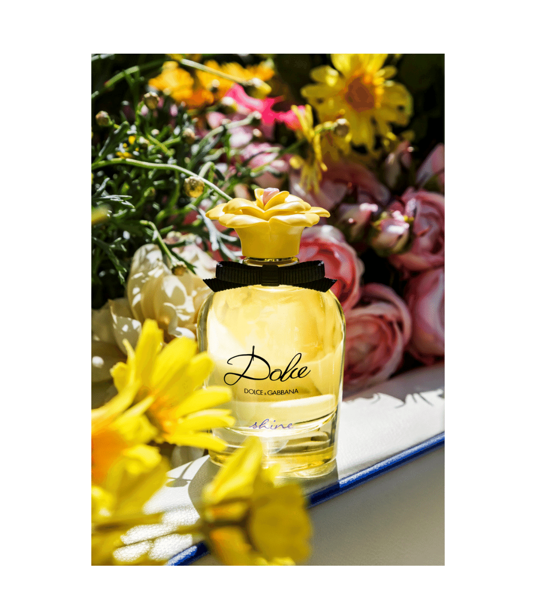D&G Dolce Shine Eau de Parfum