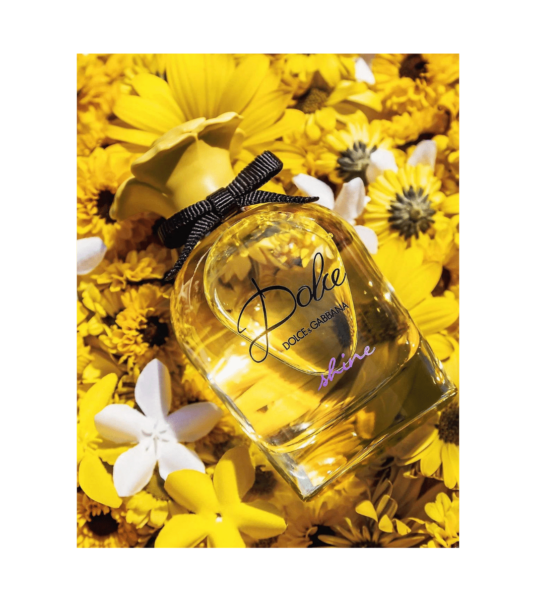 D&G Dolce Shine Eau de Parfum