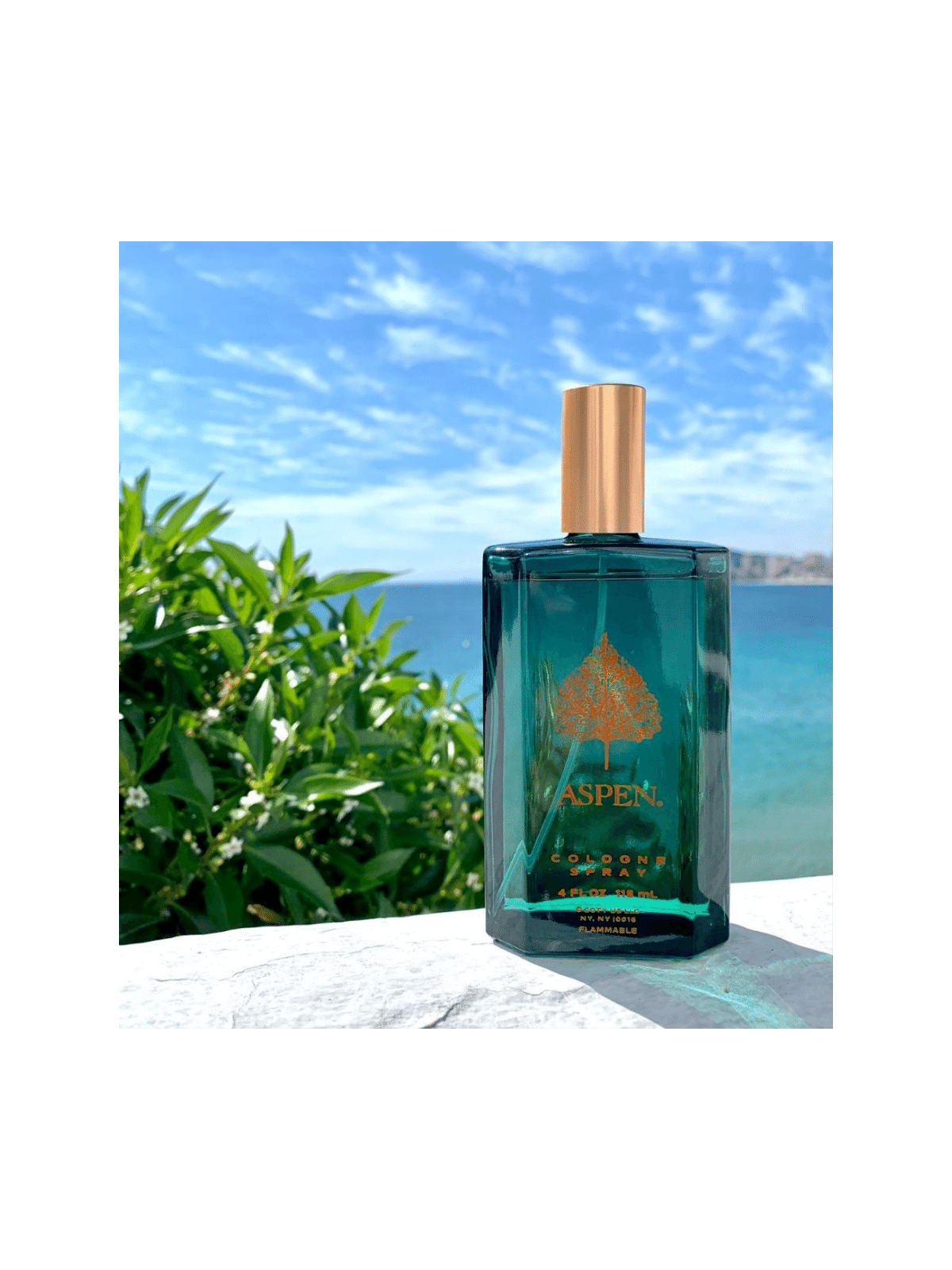 Aspen by Coty Eau de Cologne - www.theperfumestoreinc.com