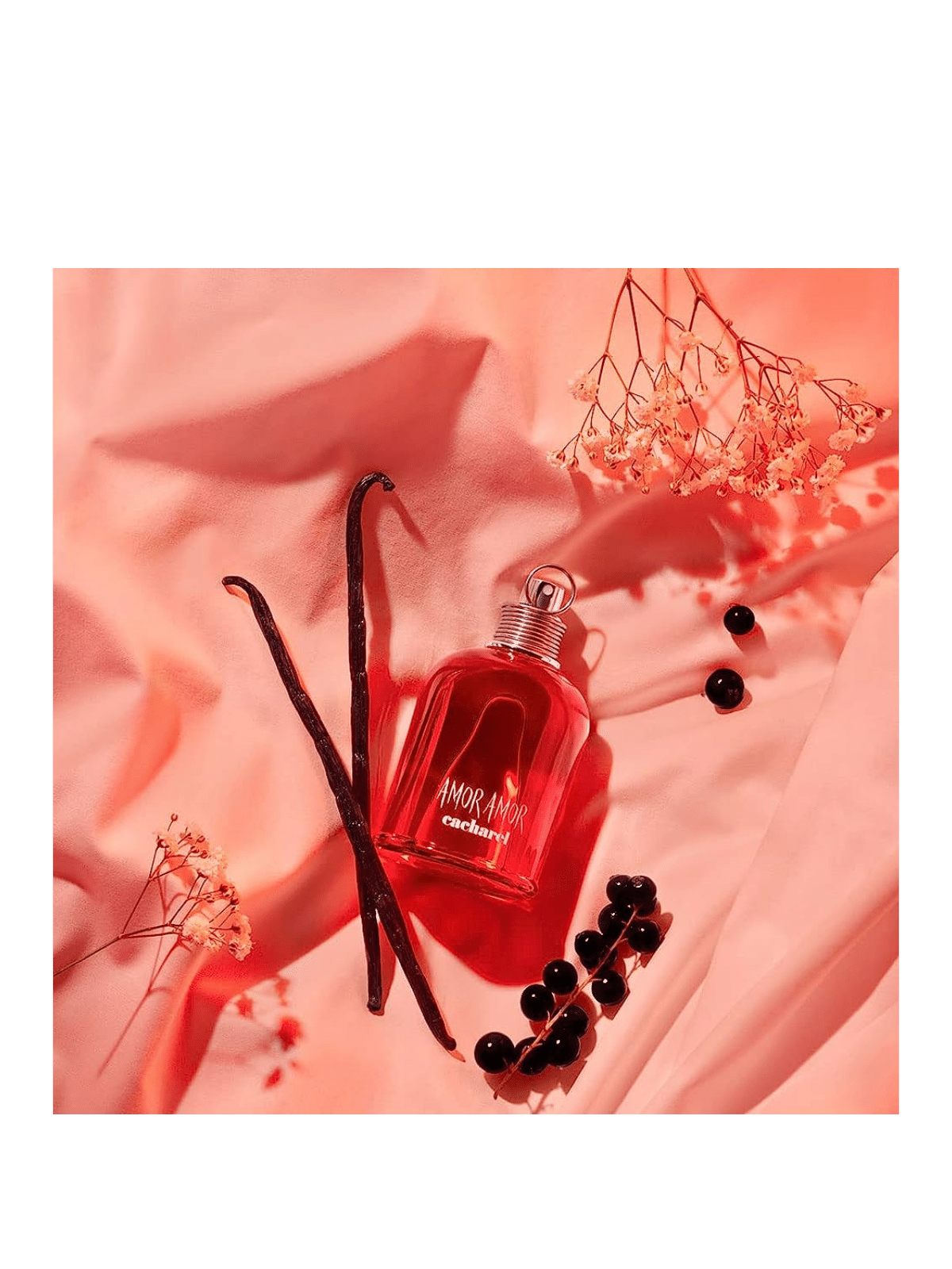 Amor Amor by Cacharel Eau De Toilette - www.theperfumestoreinc.com