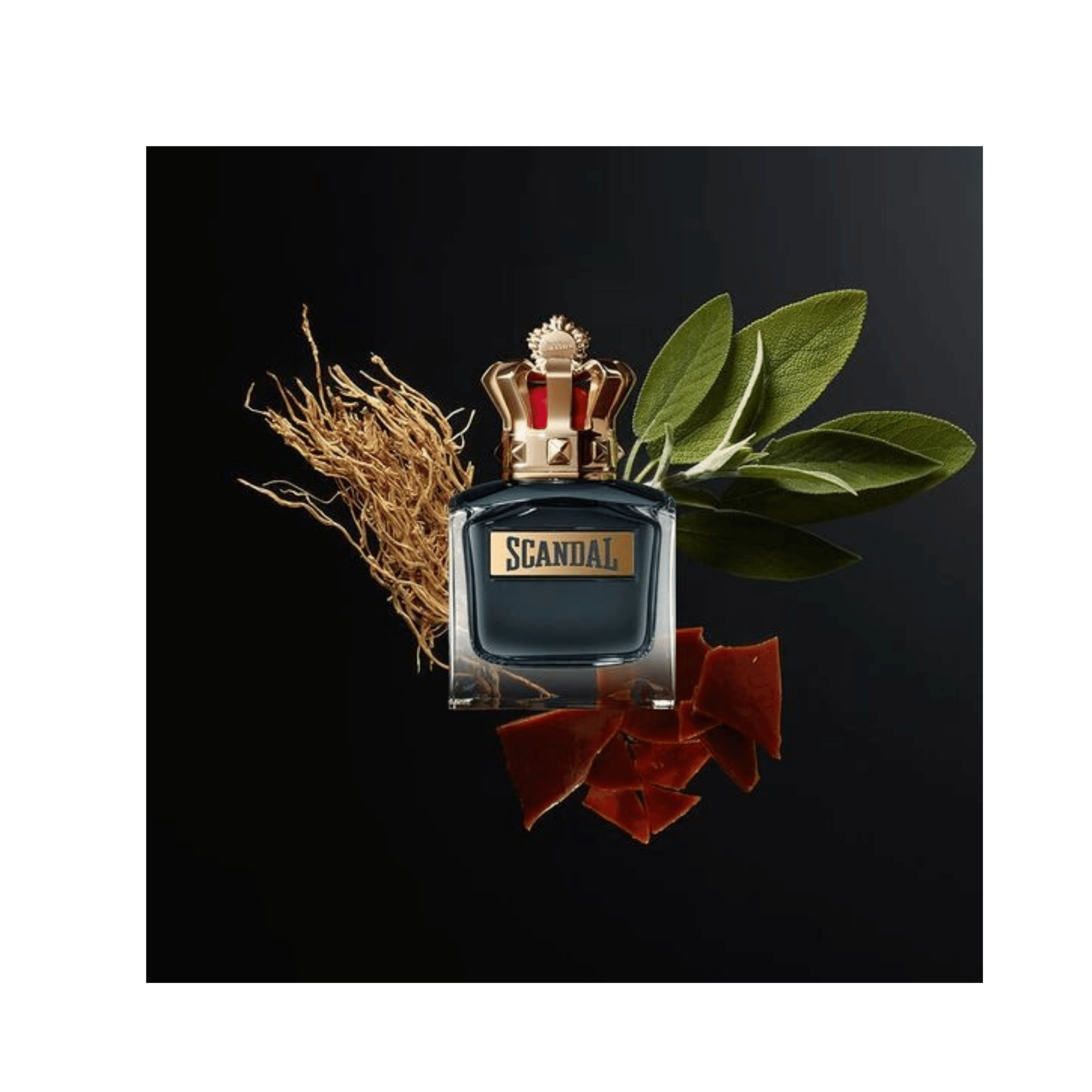 JEAN PAUL GAULTIER SCANDAL POUR HOMME EAU DE TOILETTE