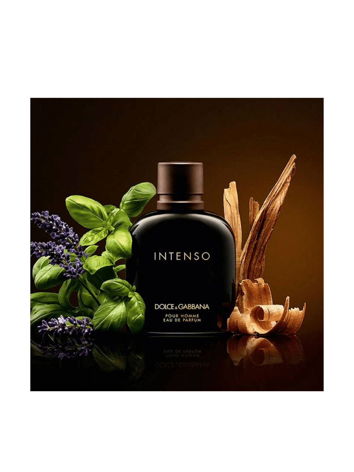 D&G Intenso Eau de Parfum