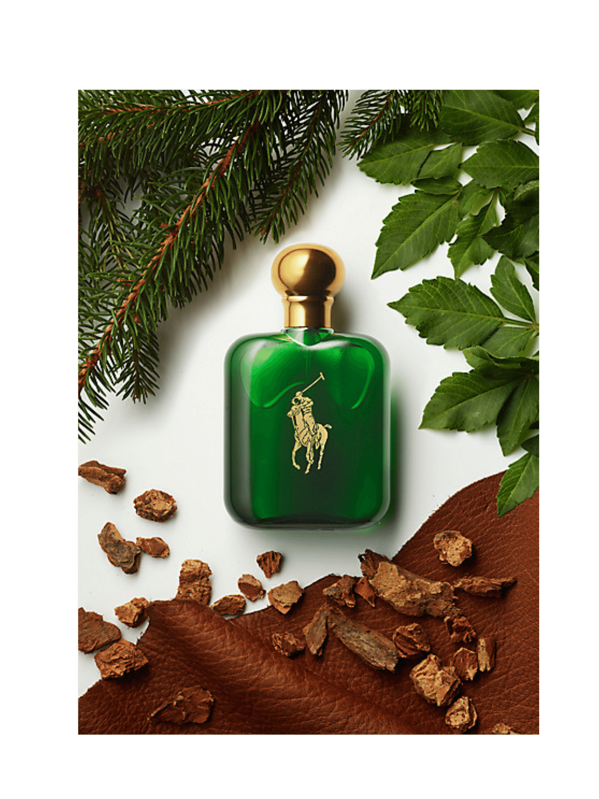 Polo by Ralph Lauren Eau de Toilette