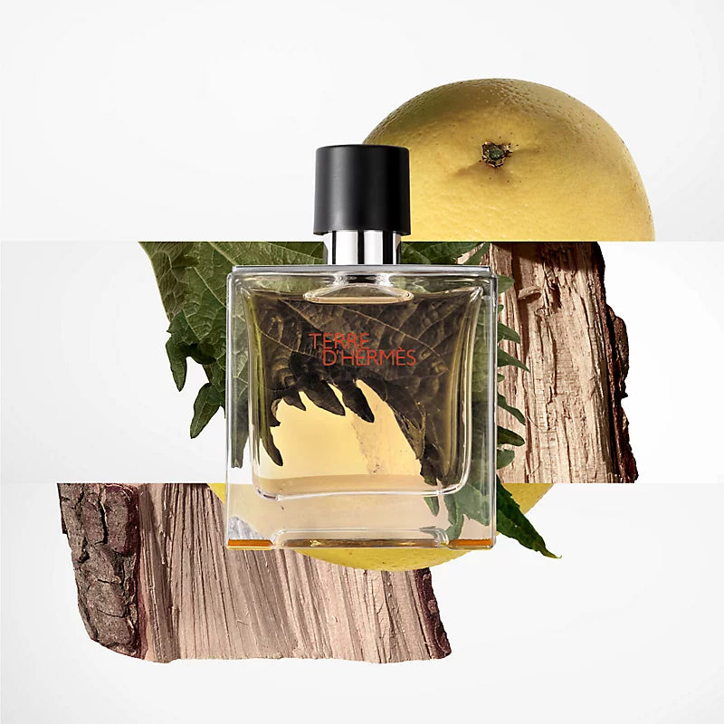Terre D'Hermès Eau de toilette