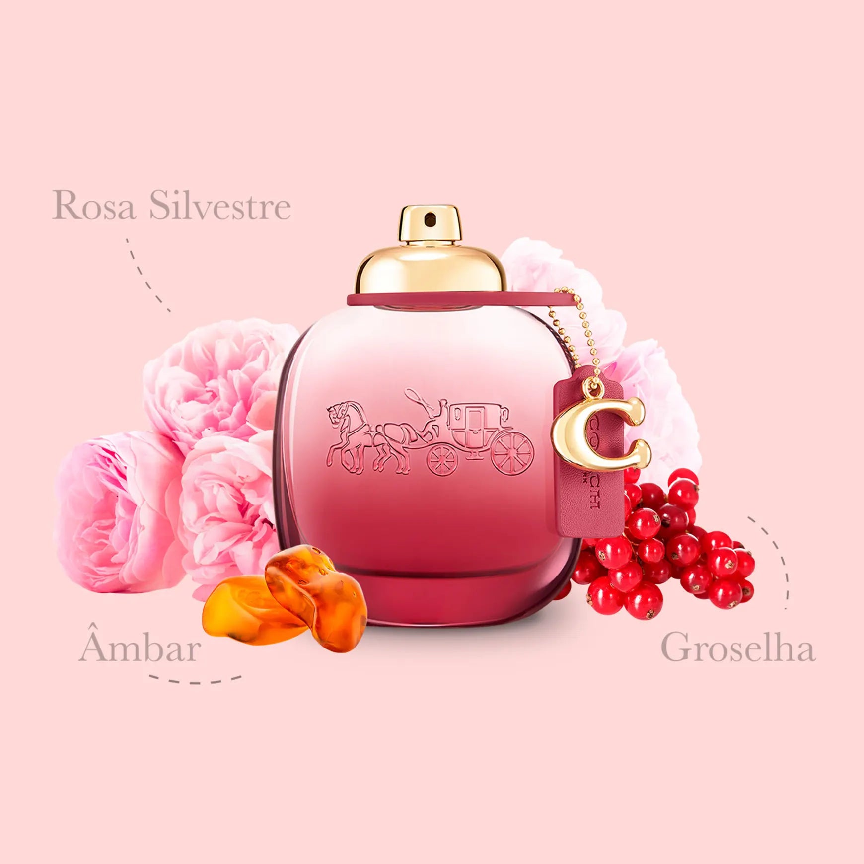 Coach Wild Rose Eau De Parfum